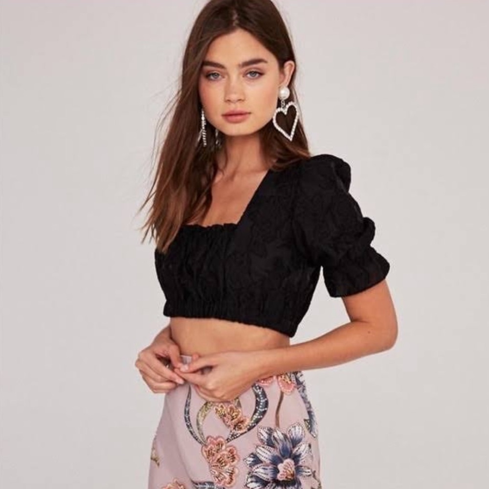 Stone Cold Fox Bond Crop